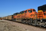 BNSF 9244 Roster shot